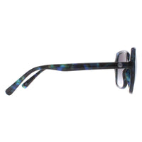 Smarty Sunglasses X2110 E Purple Demi Blue Tortoise Blue
