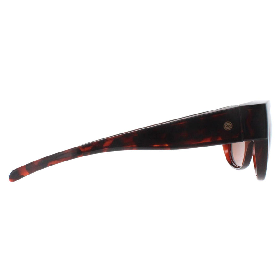 Smarty Sunglasses SA220 0A Brown Tortoise Brown