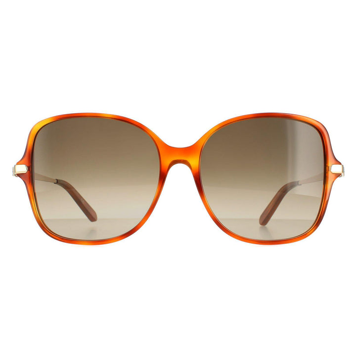 Salvatore Ferragamo Sunglasses SF990SR 214 Tortoise Grey Gradient