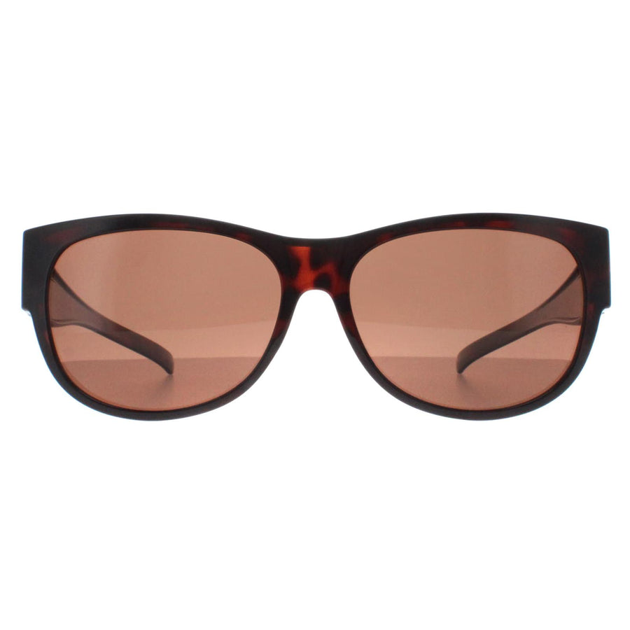 Smarty Sunglasses SA220 0A Brown Tortoise Brown