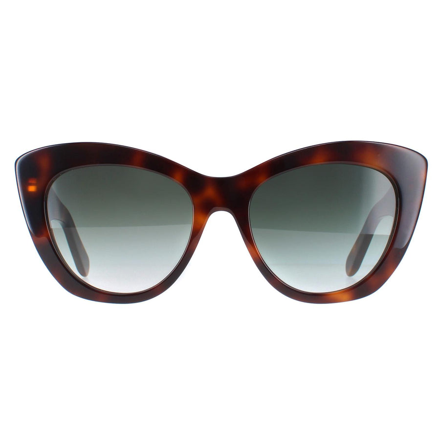 Salvatore Ferragamo SF1022S Sunglasses Tortoise Grey Gradient