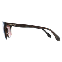 Calvin Klein Sunglasses 4194 379 Black Marble Brown
