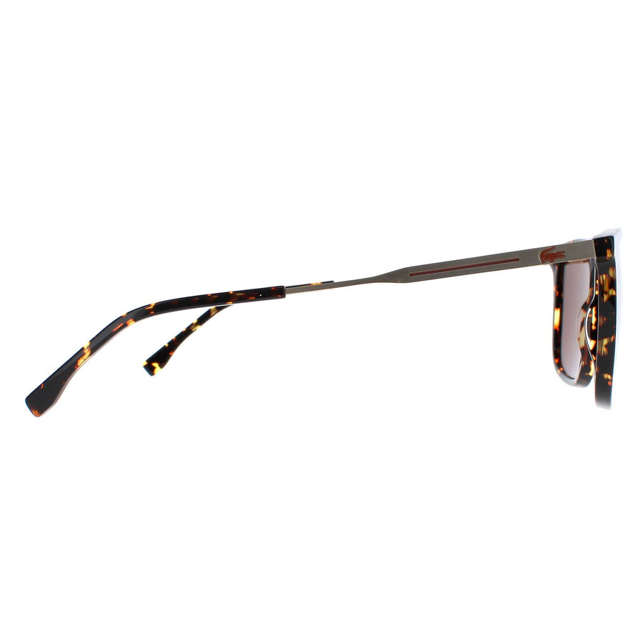Lacoste Sunglasses L945S 214 Havana Brown