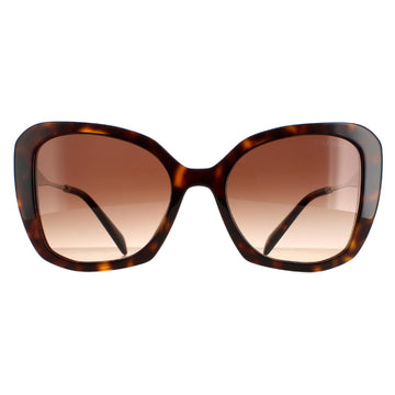 Prada Sunglasses PR03YS 2AU6S1 Tortoise Brown Gradient