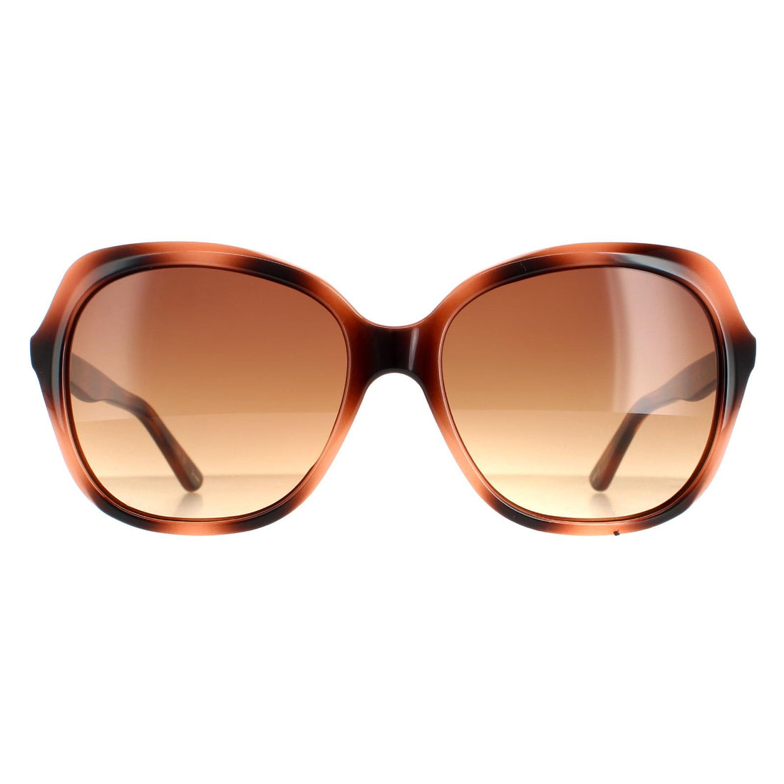 Ted Baker Sunglasses TB1645 Kim 122 Havana Brown