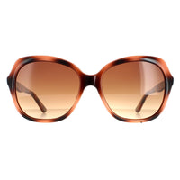 Ted Baker Sunglasses TB1645 Kim 122 Havana Brown