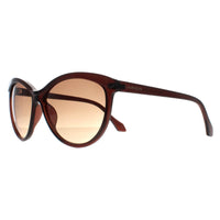 Calvin Klein Sunglasses CK19534S 210 Crystal Brown Brown Gradient