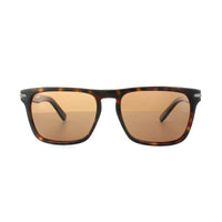 Serengeti Sunglasses Carlo 8159 Dark Havana Drivers Brown Polarized