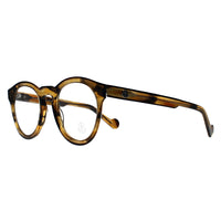 Moncler Glasses Frames ML5037 055 Coloured Havana Men Women