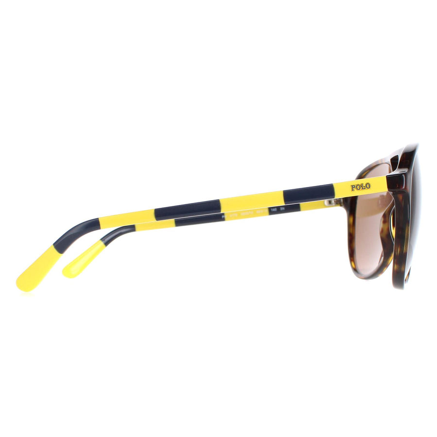 Polo Ralph Lauren Sunglasses PH4173 500373 Shiny Dark Havana Brown