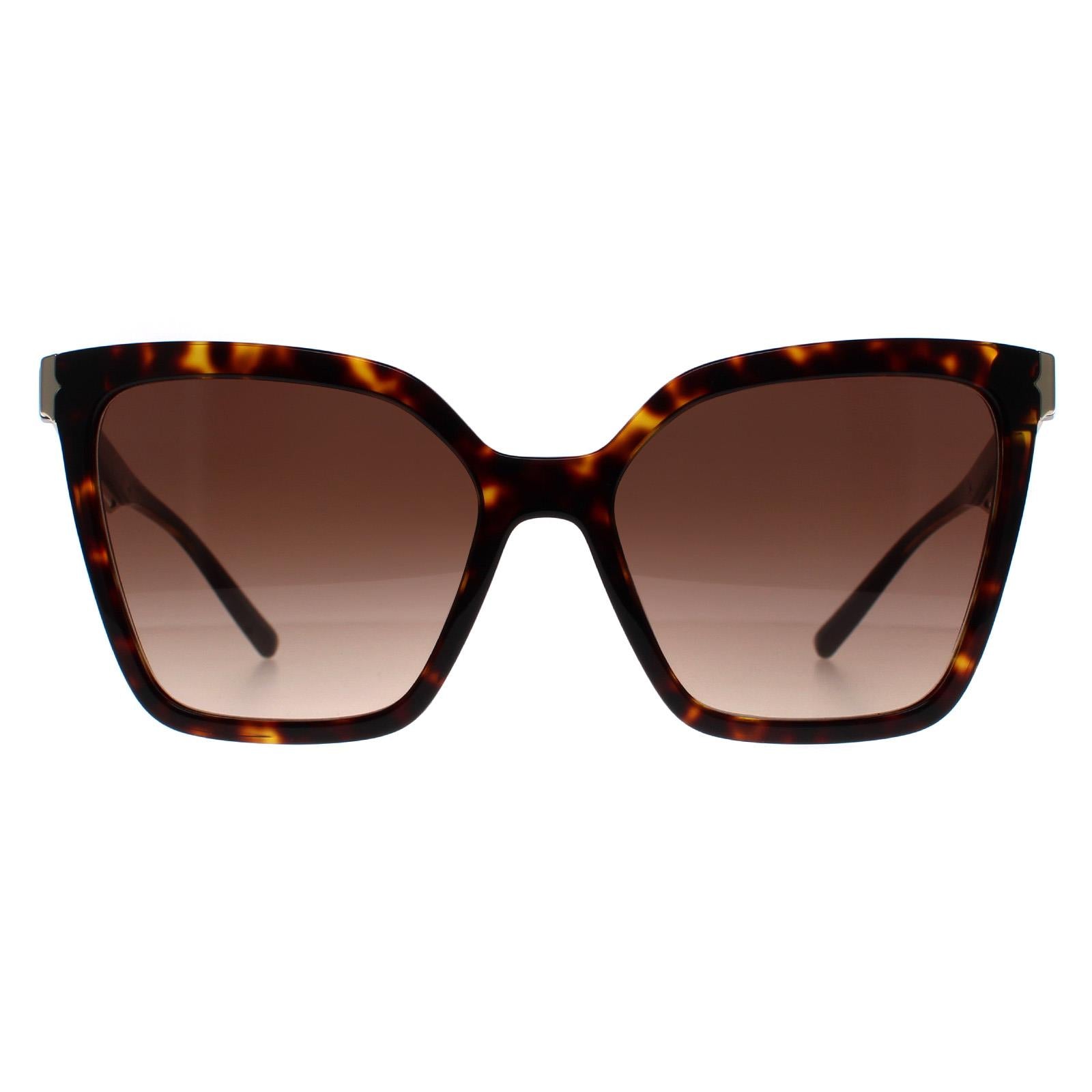 Sunglasses BV8253 504 13 Havana Gradient