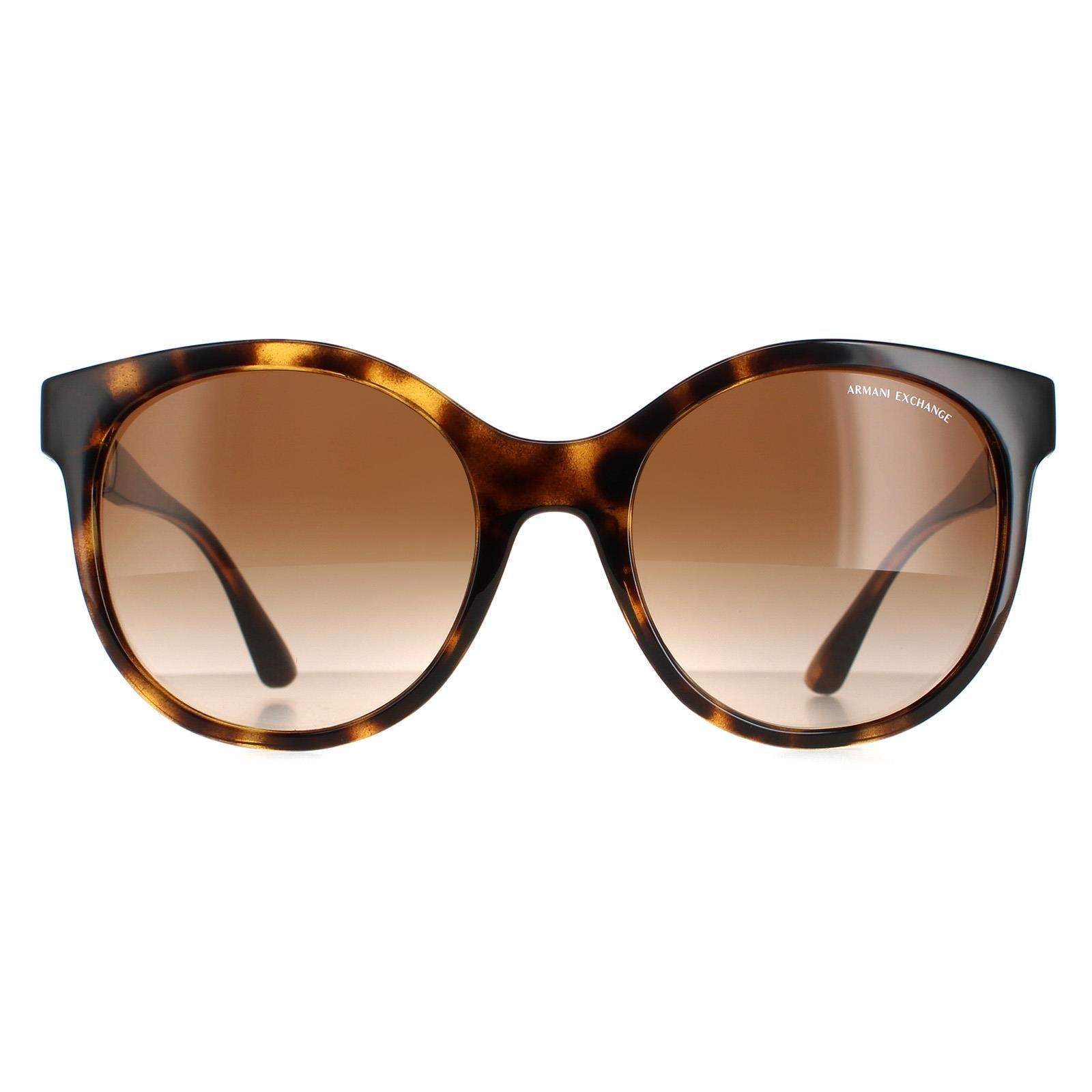 Sunglasses AX4120S Shiny Havana Gradient