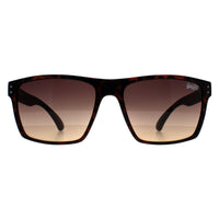Superdry Sunglasses Kobe 102 Havana Brown