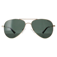 Polaroid Sunglasses PLD 6012/N/NEW PEF UC Gold Green Green Polarized
