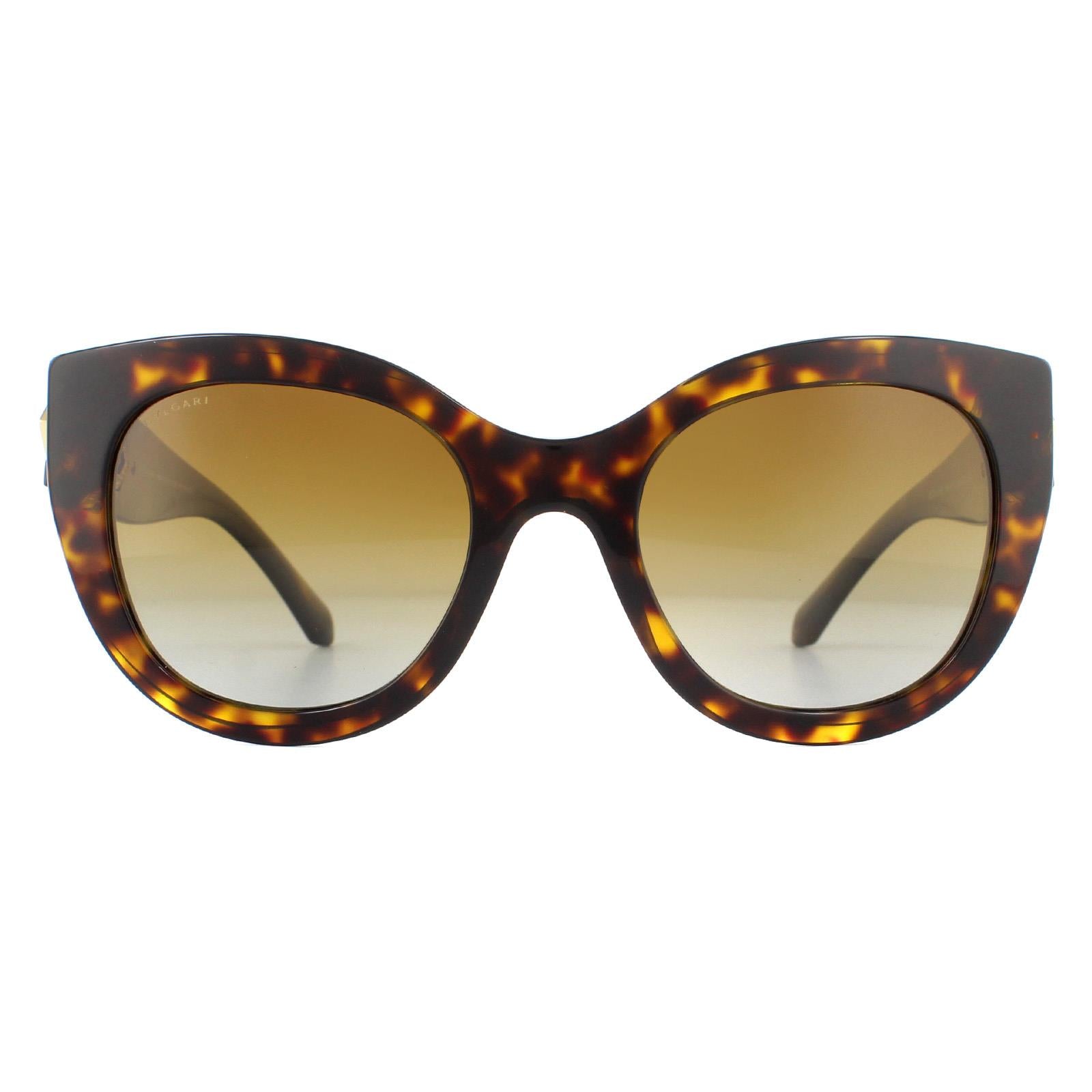 Sunglasses BV8214B 504 T5 Dark Havana Gradient Polarized