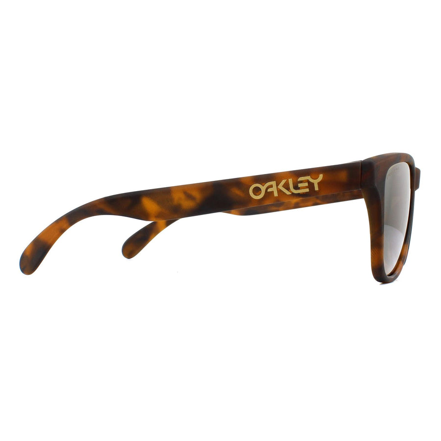 Oakley Frogskins XS oj9006 Sunglasses