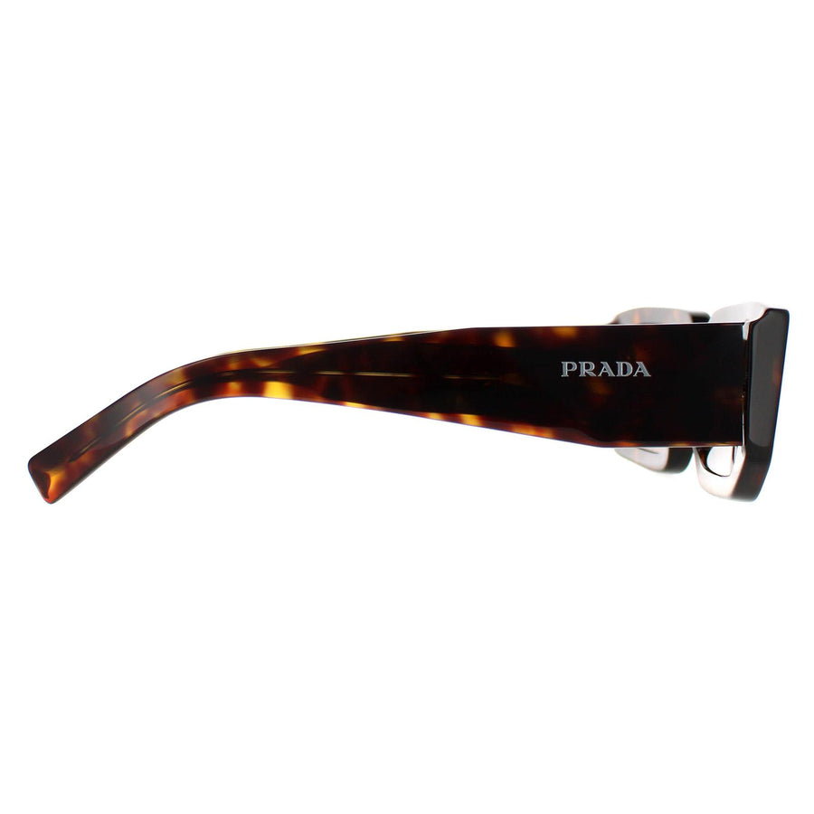 Prada Sunglasses PR06YS 2AU8C1 Dark Tortoise Dark Brown
