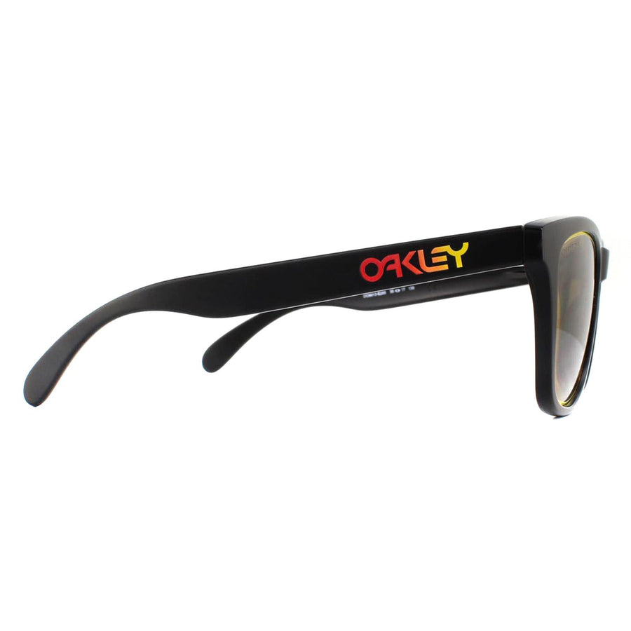 Oakley Frogskins oo9013 Sunglasses