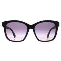 Max Mara Sunglasses MM0042 Logo9 05B Black Tortoise Smoke Grey Gradient