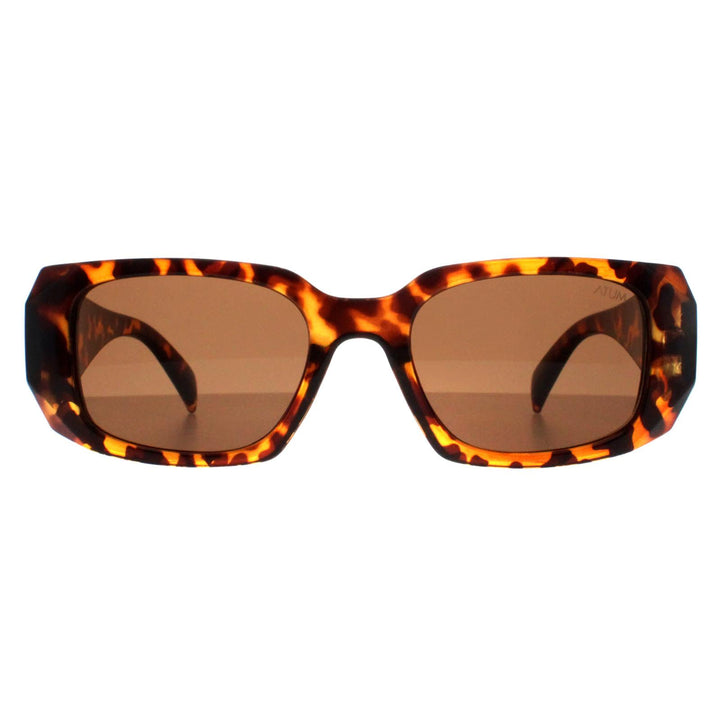 Atum Sunglasses Nyx C2 Shiny Havana Brown