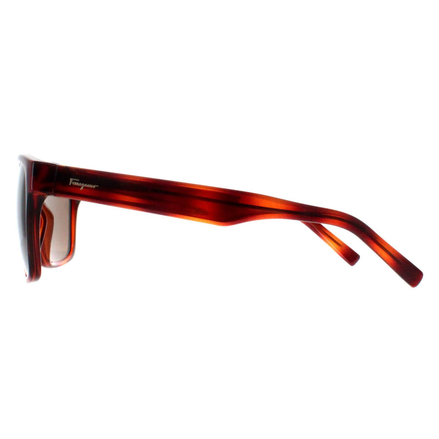 Salvatore Ferragamo Sunglasses SF959S 214 Tortoise Brown Amazon.com: SALVATORE FERRAGAMO Rectangle Sunglasses SF959S  main image 4
