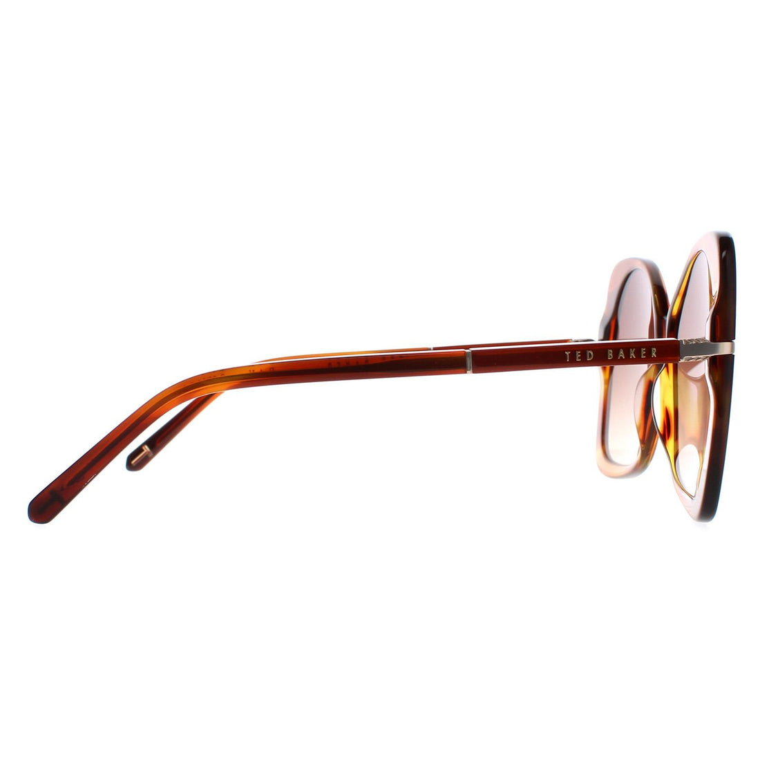 Ted Baker Sunglasses TB1668 Aniya 105 Tortoise Brown Gradient