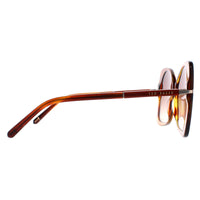 Ted Baker Sunglasses TB1668 Aniya 105 Tortoise Brown Gradient