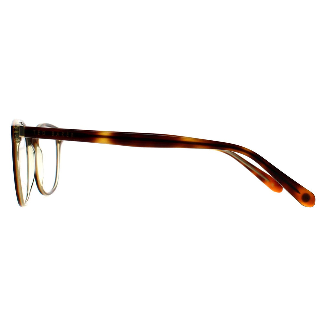 Ted Baker Glasses Frames TB8279 Ralph 170 Honey Tortoise Men Women