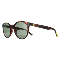 Guess Sunglasses GU00023 52N Dark Havana Green