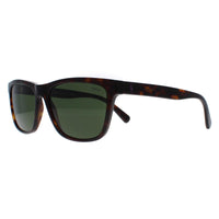 Polo Ralph Lauren Sunglasses PH4167 500371 Shiny Dark Havana Dark Green