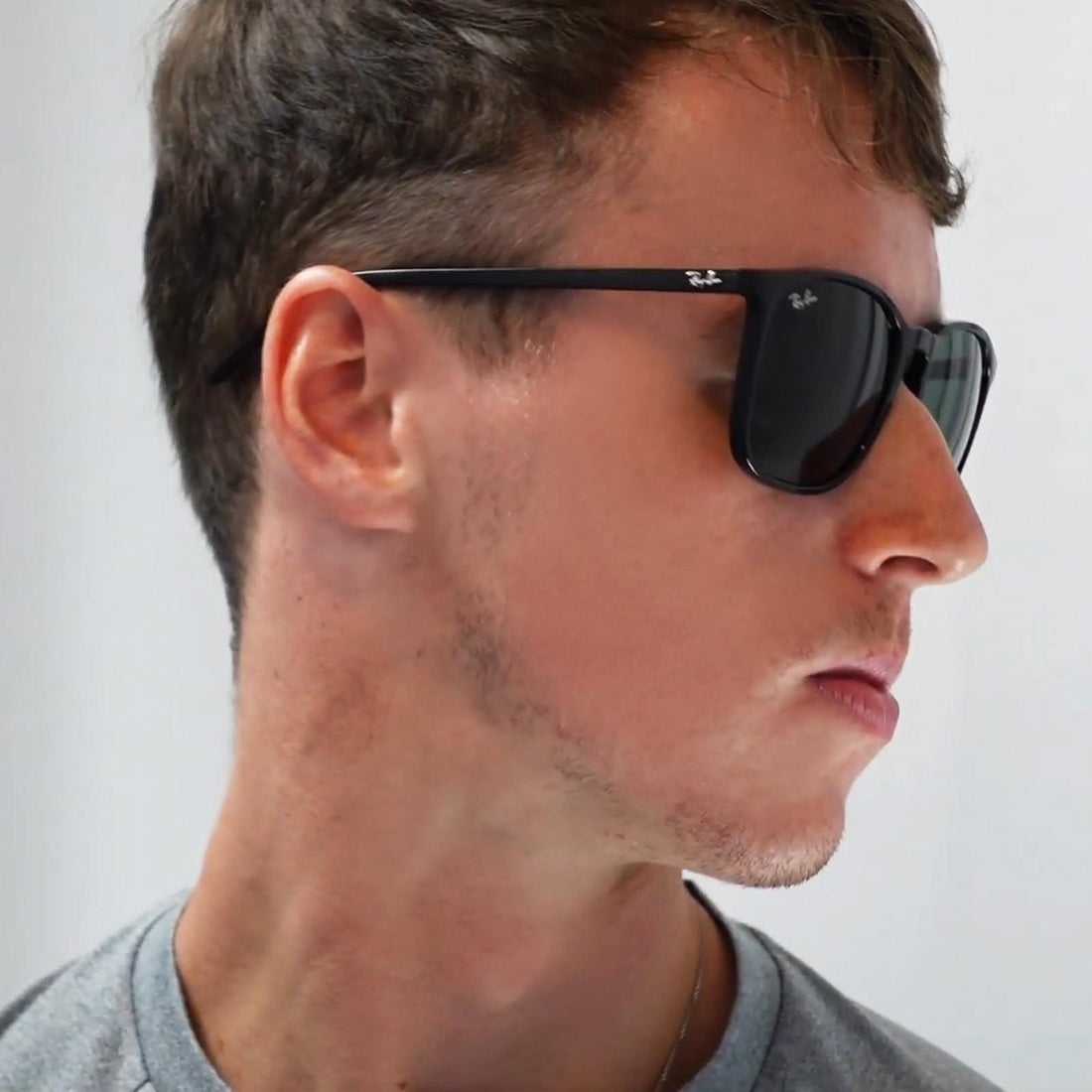 Ray-Ban Sunglasses RB4387 710/73 Tortoiseshell Brown