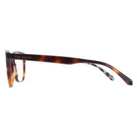 Ted Baker Glasses Frames TB8241 Rush 106 Brown Men