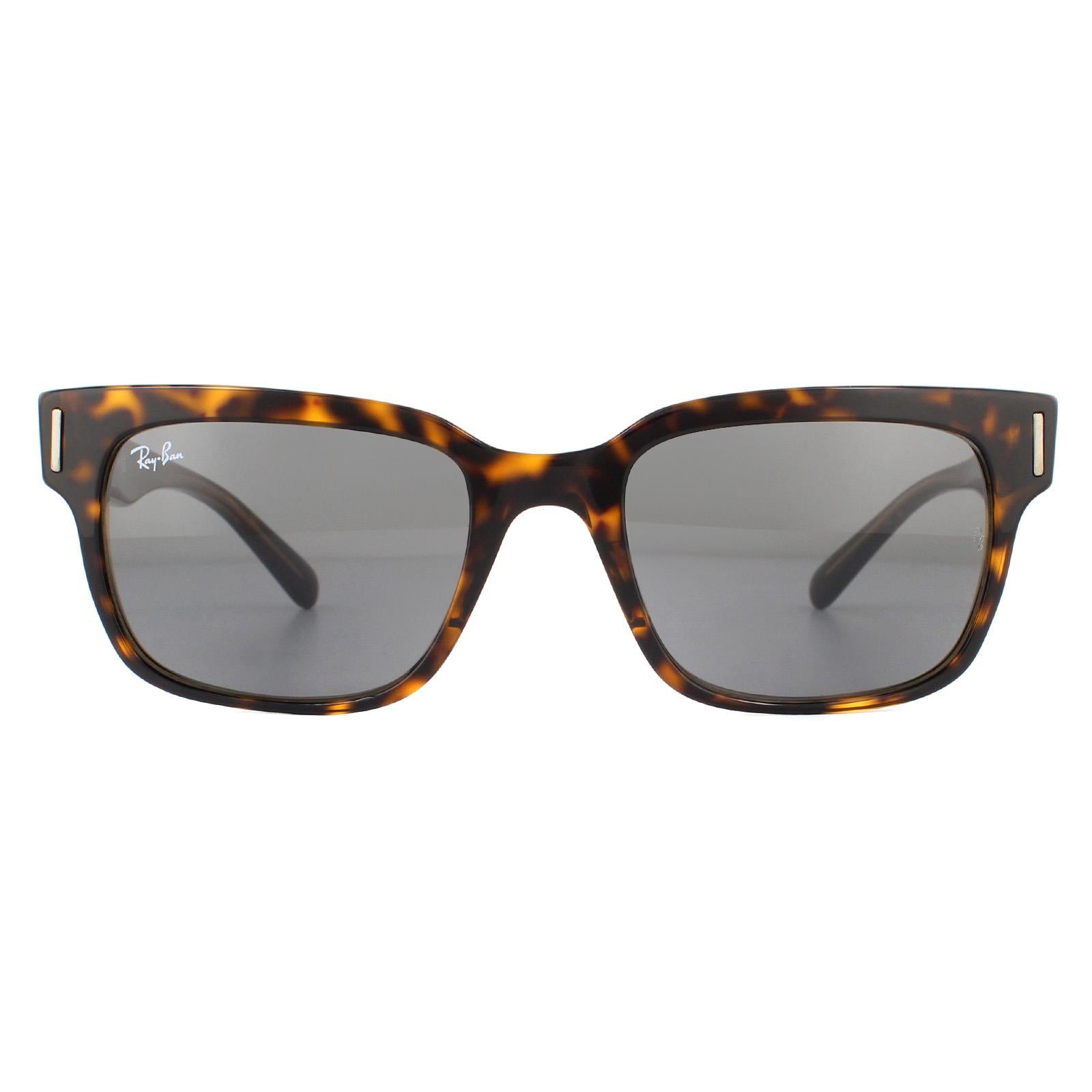Sunglasses Jeffrey RB2190 1292B1 Tortoise Dark Grey
