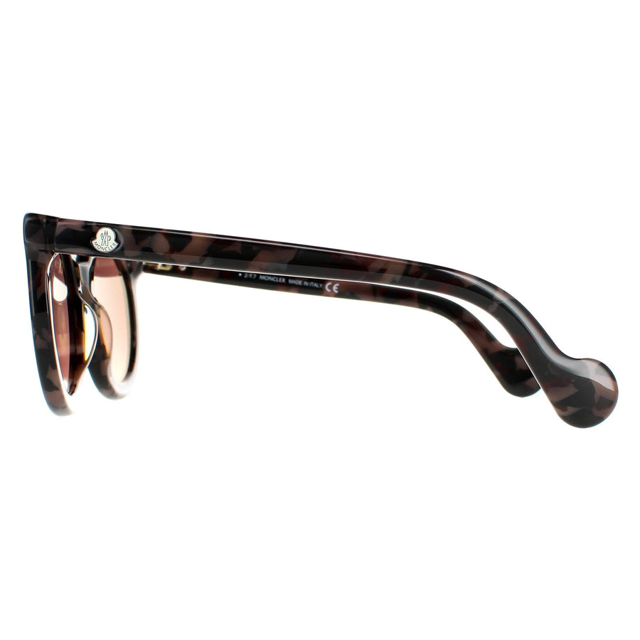 Moncler Sunglasses ML0015 55U Coloured Havana Bordeaux Mirror