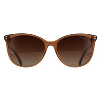 Polaroid Sunglasses PLD 4200/SX HAM LA Champagne Brown Gradient Polarized