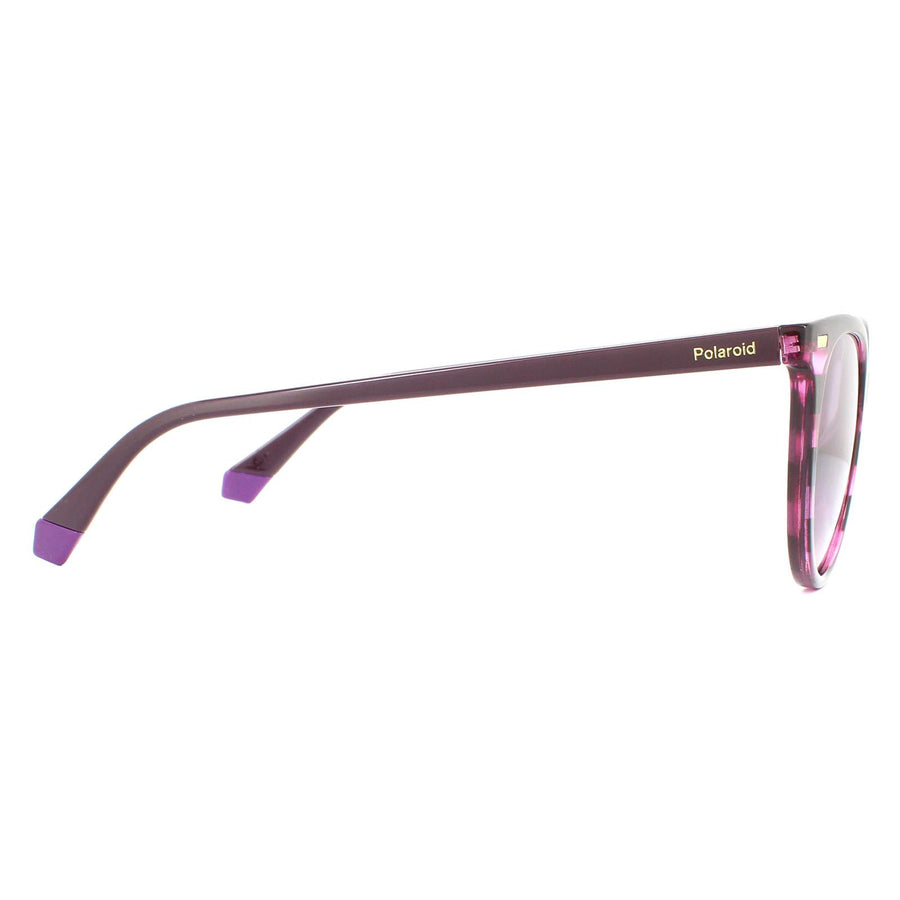 Polaroid PLD 4107/S Sunglasses