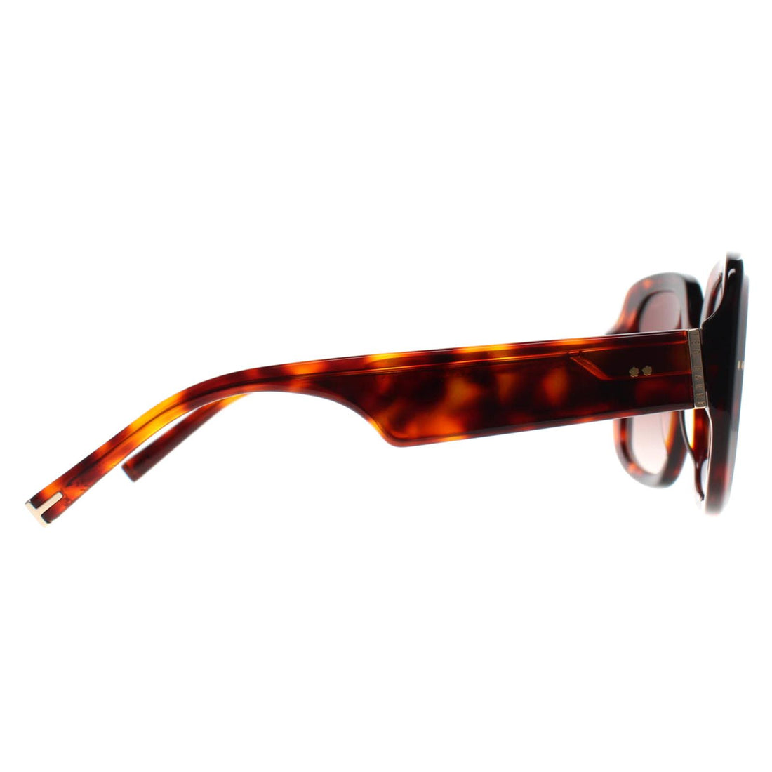 Ted Baker Sunglasses TB1730 Catrina 100 Tortoise Brown Gradient