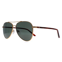 Calvin Klein Sunglasses CK21306S 718 Satin Gold Green