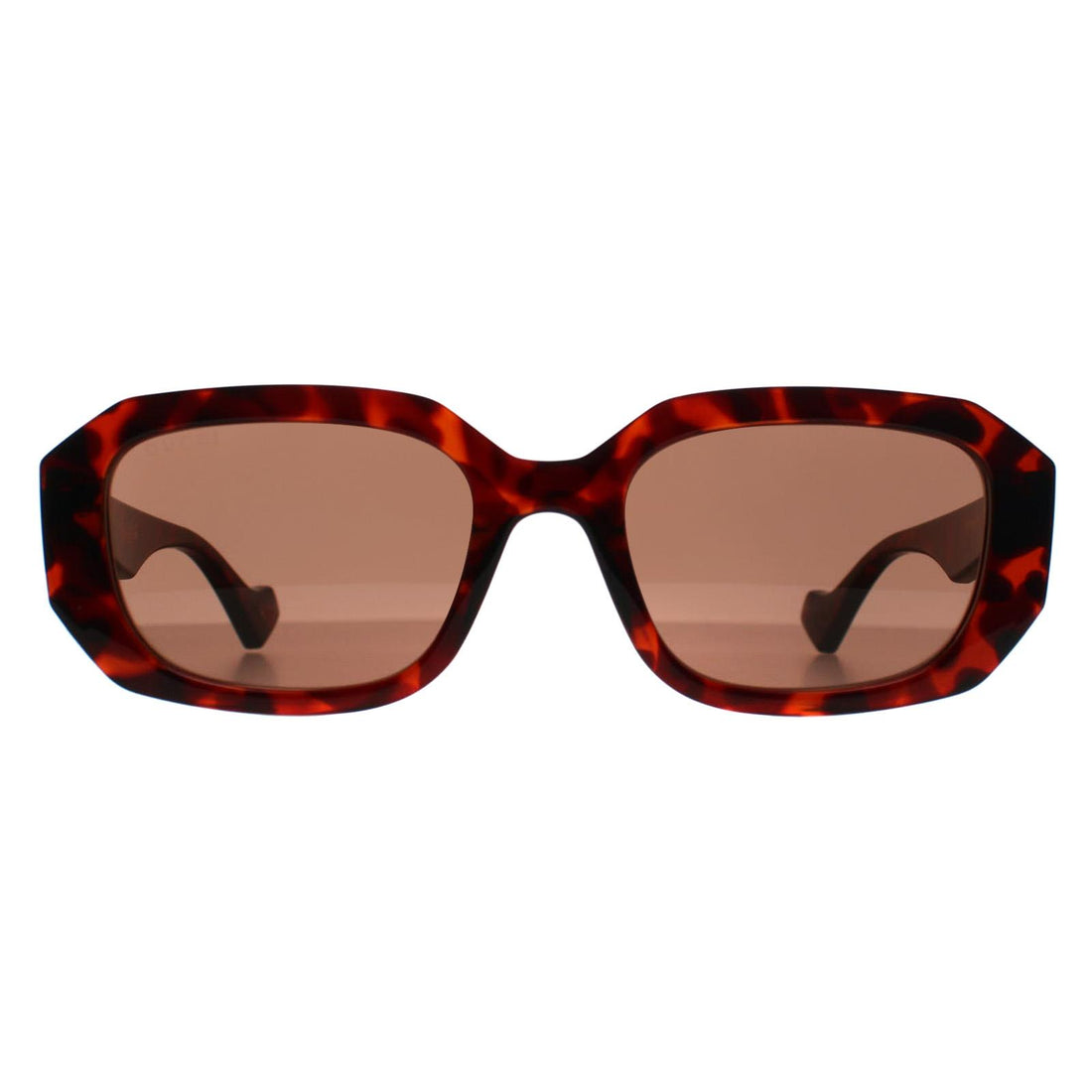 Gucci Sunglasses GG1535S 002 Shiny Dark Havana Brown