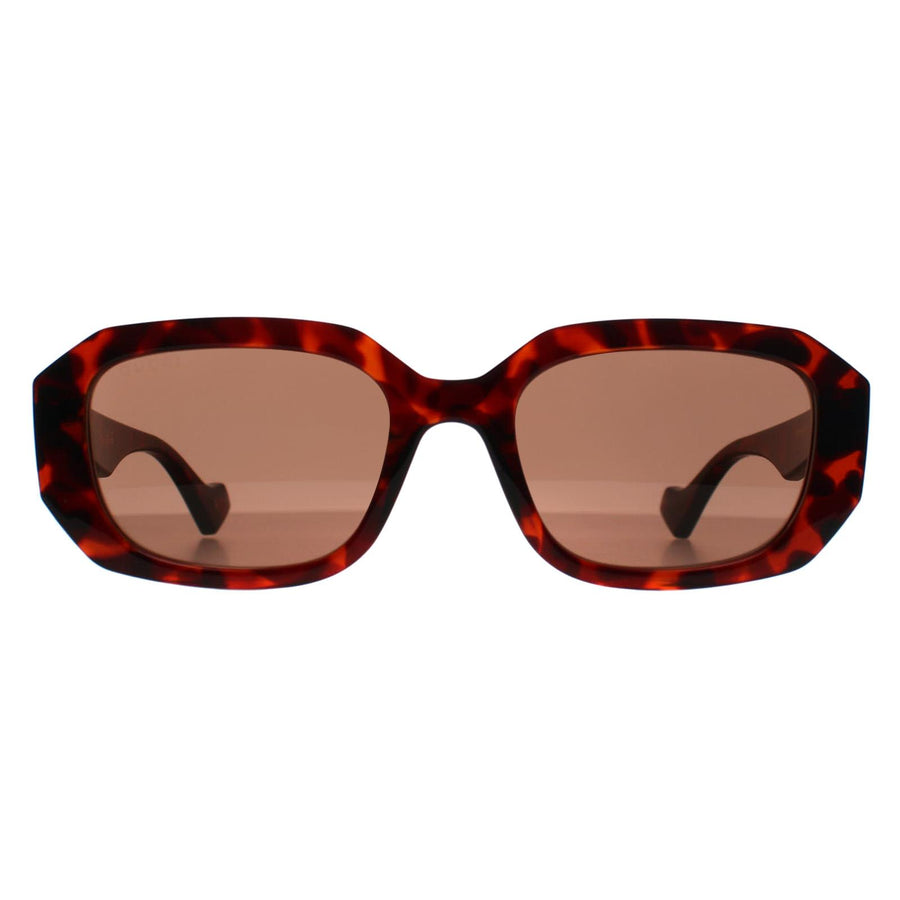 Gucci Sunglasses GG1535S 002 Shiny Dark Havana Brown – Discounted