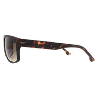 Police Sunglasses SPLB39 Tailwind 4 0738 Matte Dark Havana Smoke Brown Gradient