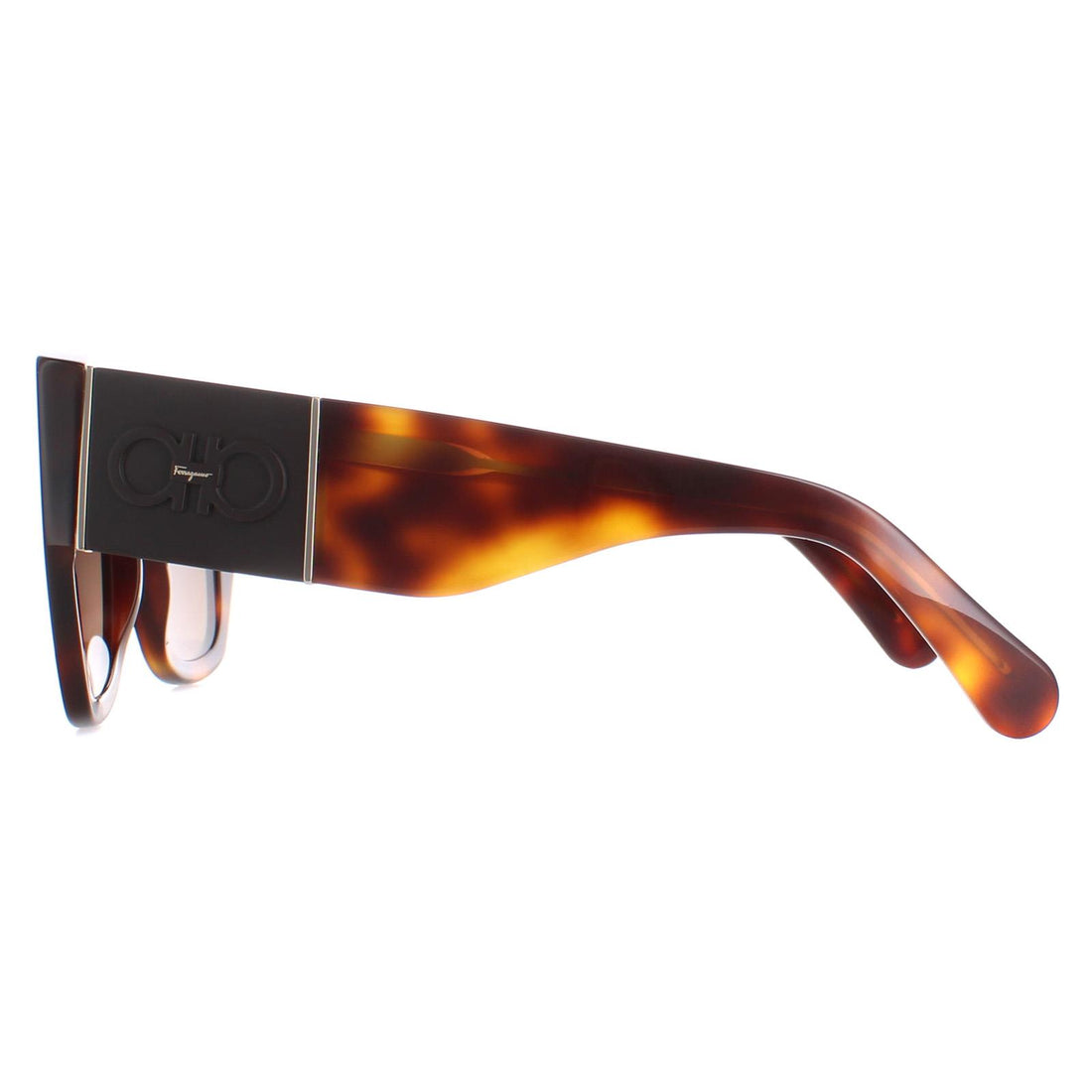 Salvatore Ferragamo SF1045S Sunglasses