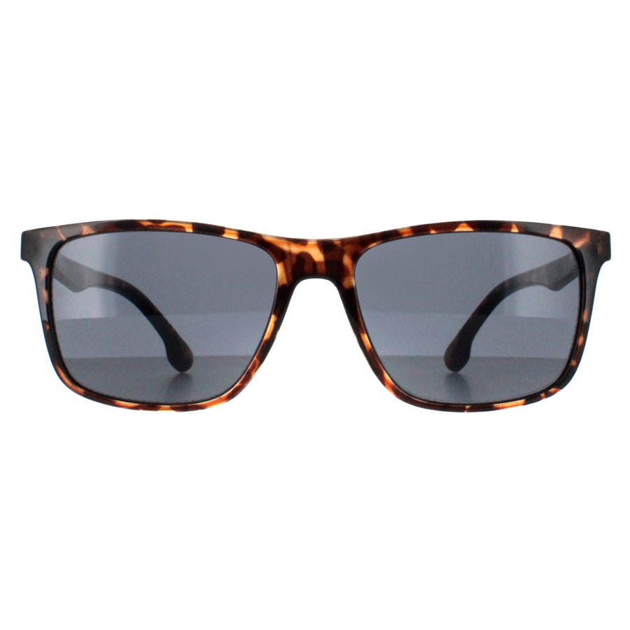 Smarty Sunglasses SB2308 B Demi Black Tortoise Brown Grey
