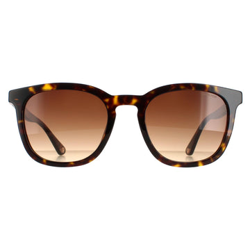Police Sunglasses SPLB42 Origins 36 0722 Shiny Dark Havana Brown Gradient