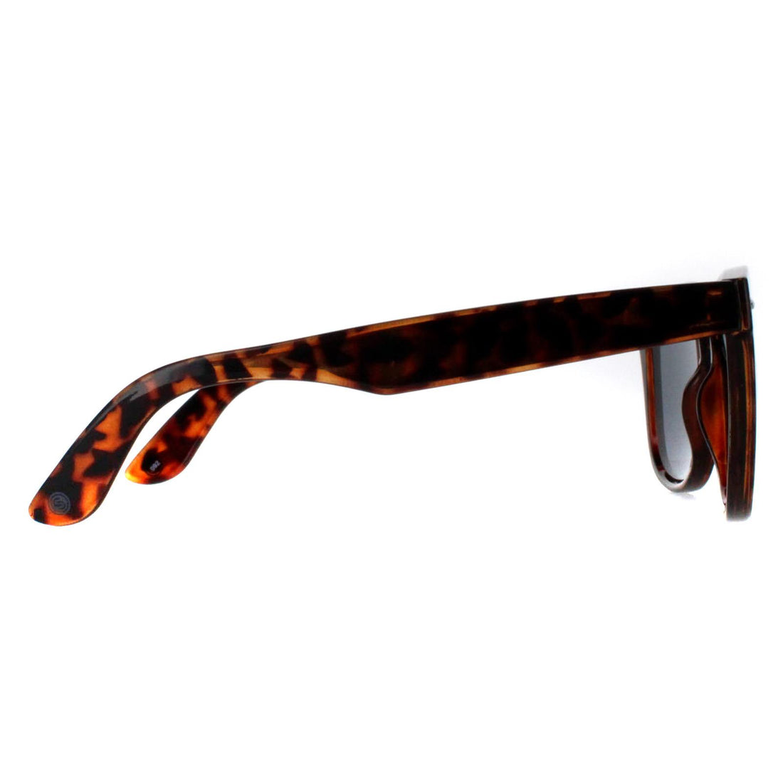 Smarty Sunglasses SB2304 B Tortoise Brown Grey
