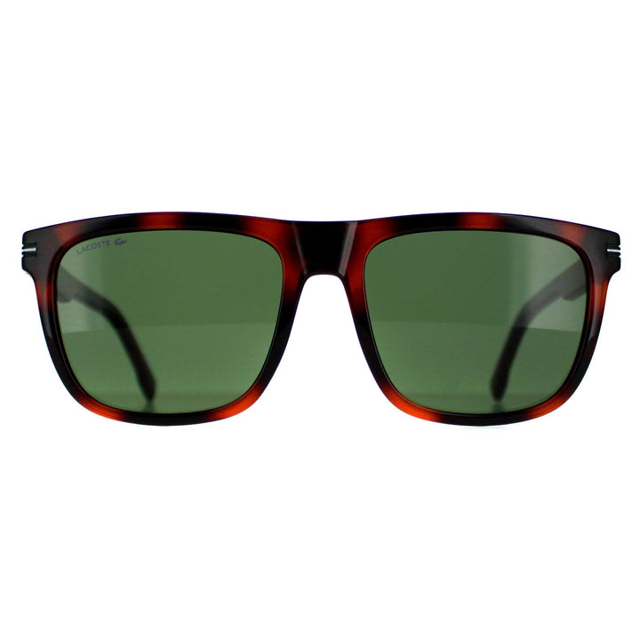 Lacoste Sunglasses L959S 230 Brown Shiny Havana Green