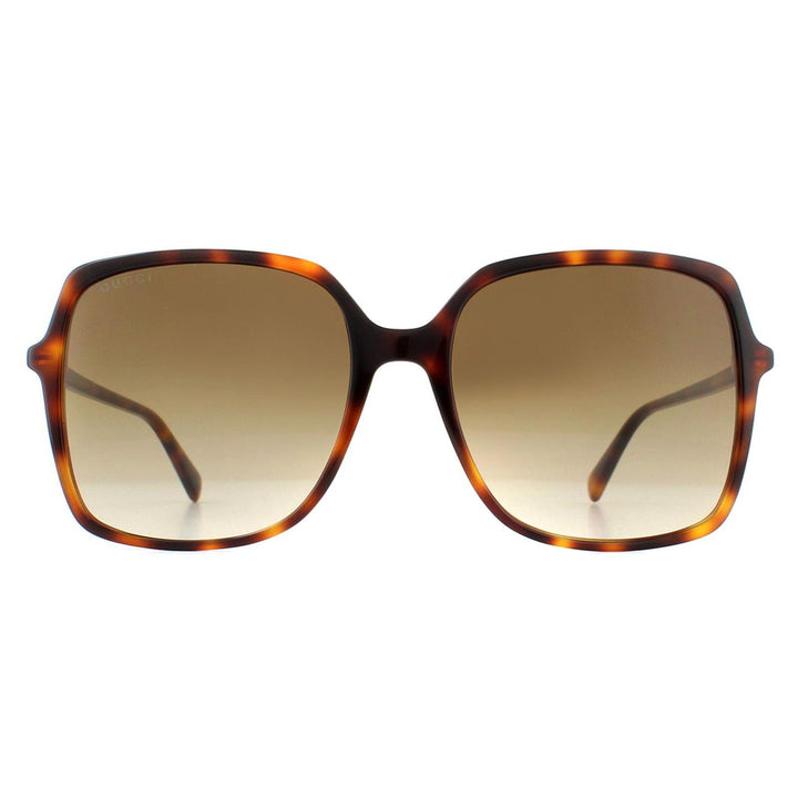 Gucci Sunglasses GG0544S 002 Havana Brown Gradient