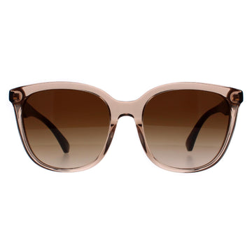 Emporio Armani Sunglasses EA4157 585013 Shiny Transparent Tundra Brown Gradient