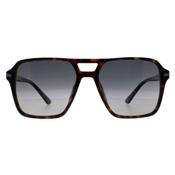 Prada Sunglasses PR20YS 2AU09G Dark Havana Grey Gradient Polarized