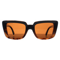 Montana Sunglasses MP193 A Shiny Black Turtle Brown Polarized